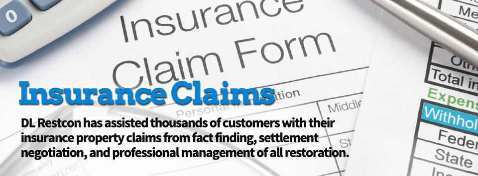 insurance_claim