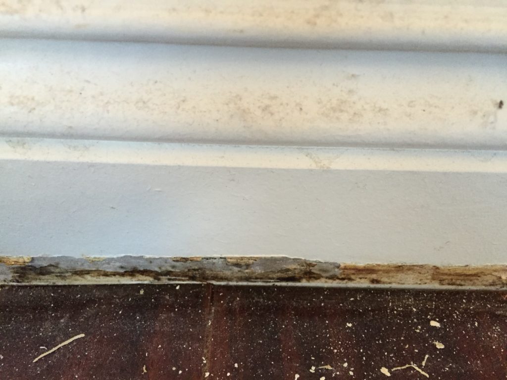 hardwood floor leaks