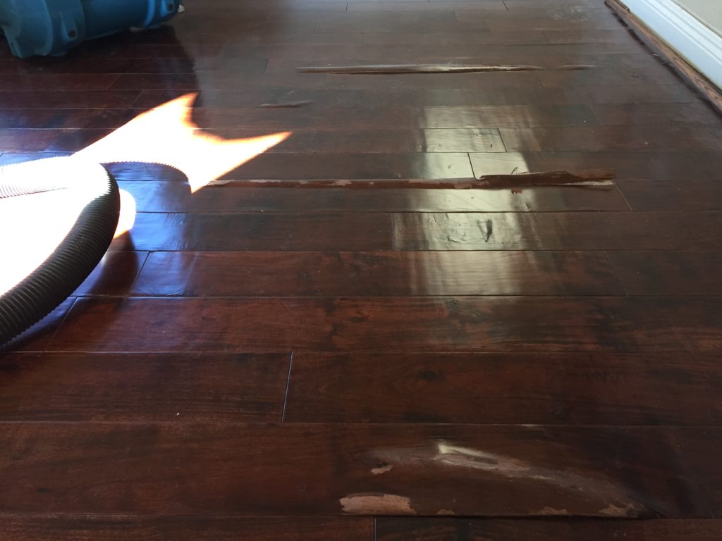 damaged hardwood floor from PEX pipe leak